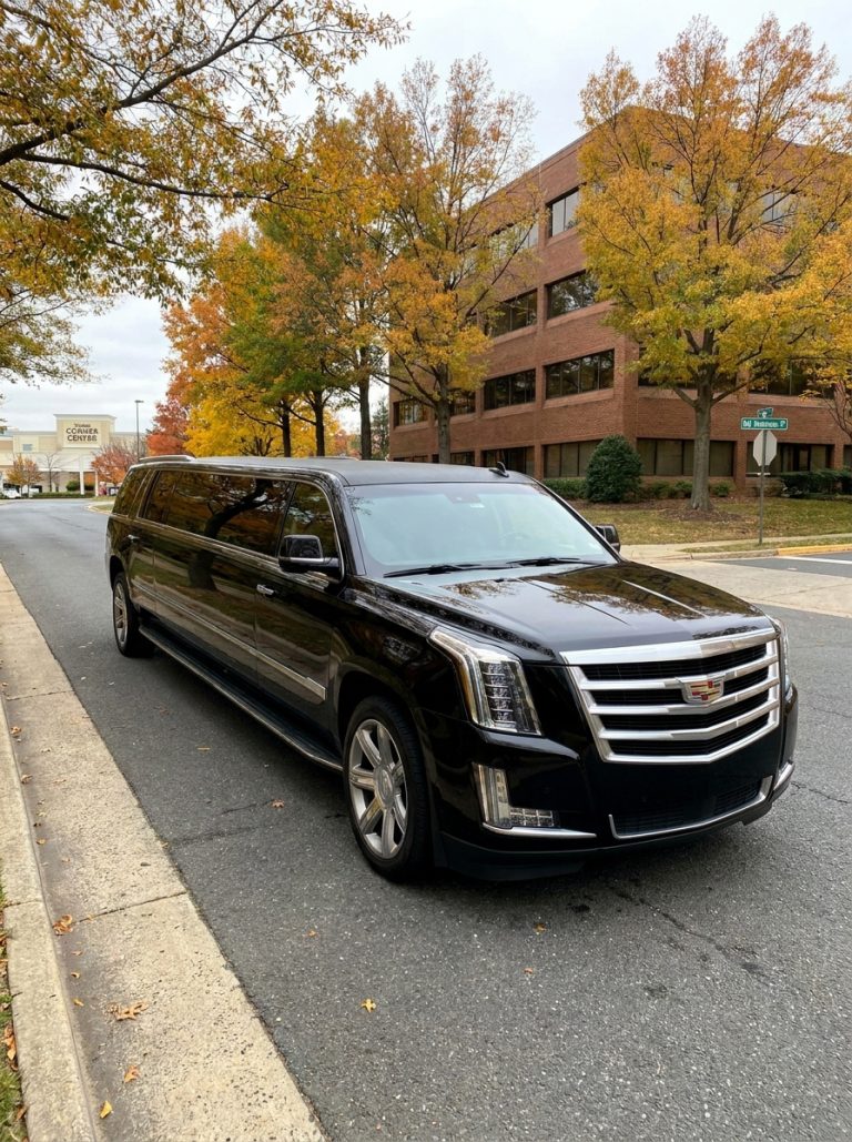 Limo service in {city} 